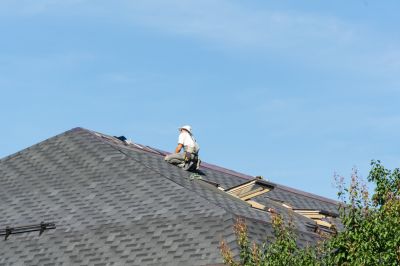 Expert Roof Repair Team
